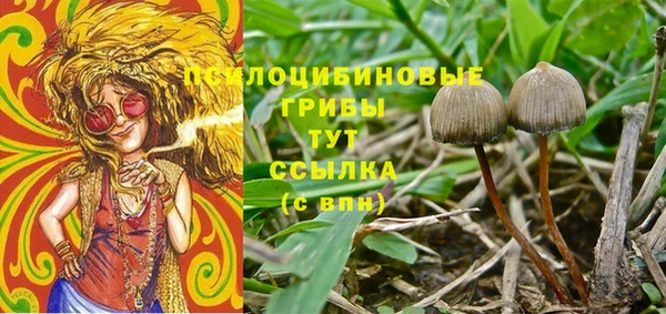 герыч Алексин